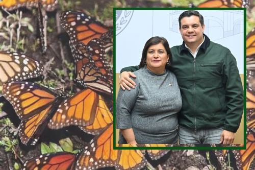 Avalan en comisiones extender protección de especies migratorias